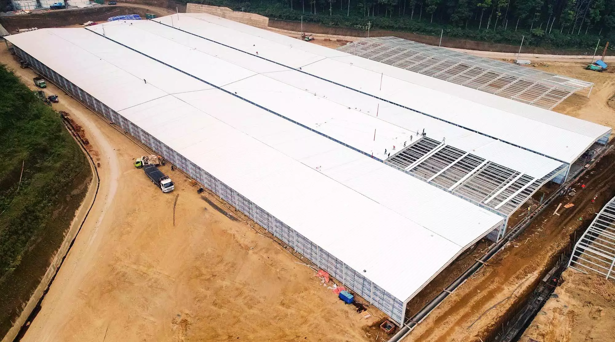 Eco friendly Indonesian Prefab Steel Cow Barn - bangunan struktur baja prefabrikasi
