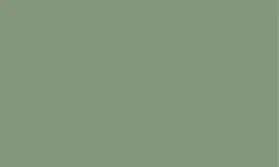 Pebsteel Green Tea color in prefabricated steel building